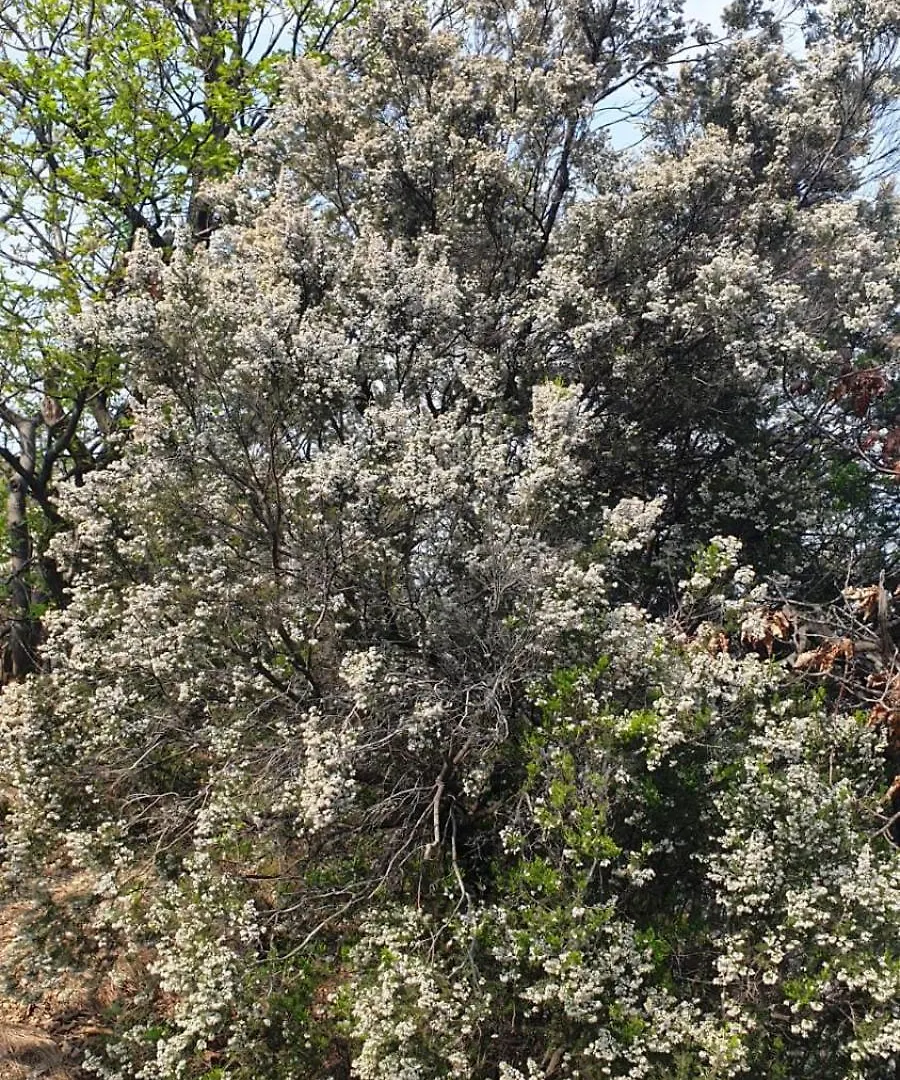 Vila Casa Francesca A 2,5 Km Da Iseo Provaglio d'Iseo 0*,